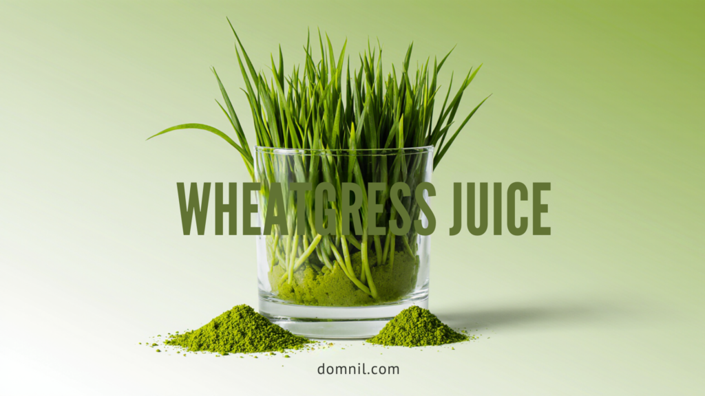 wheatgrass juice